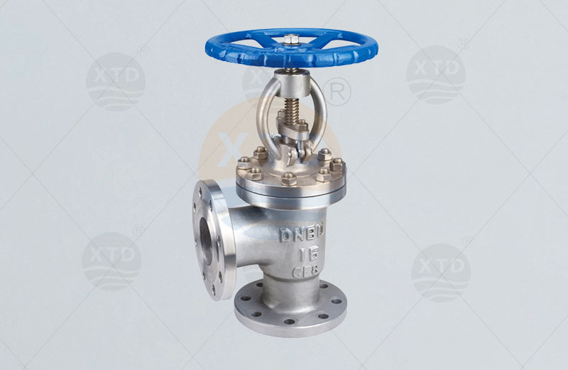 Angle type globe valve