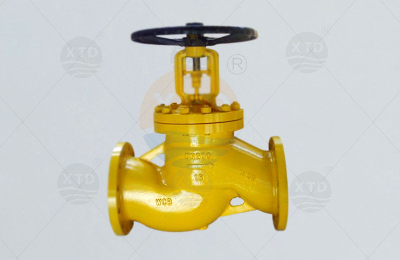 Chlorine dedicated globe valve