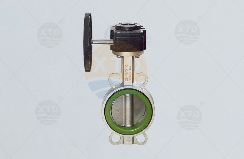Turbine stainless steel butterfly valve