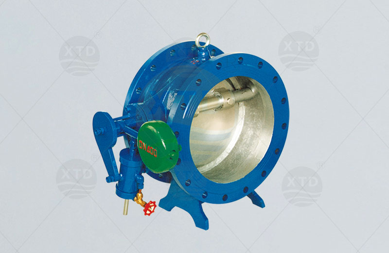 Butterfly cushion check valve