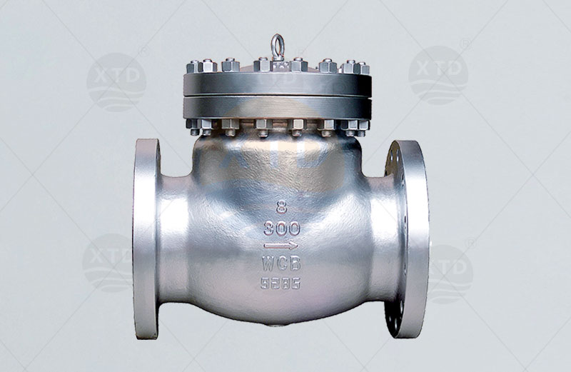 American standard spin check valve
