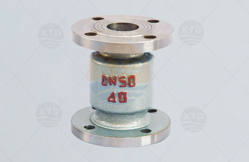 Vertical liquefied gas check valve