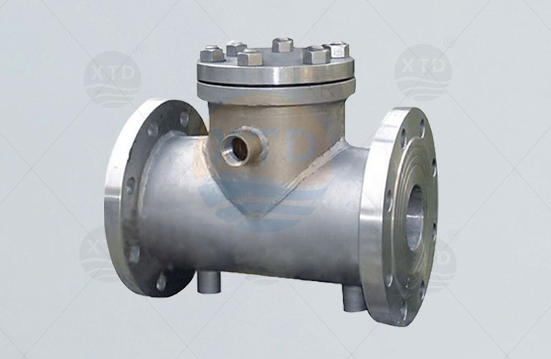 Insulation check valve