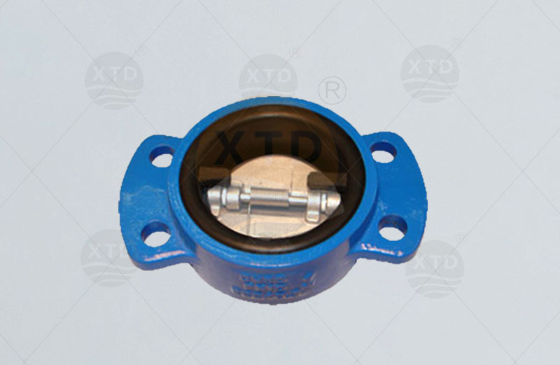 Full rubber lined desulfurization check valve