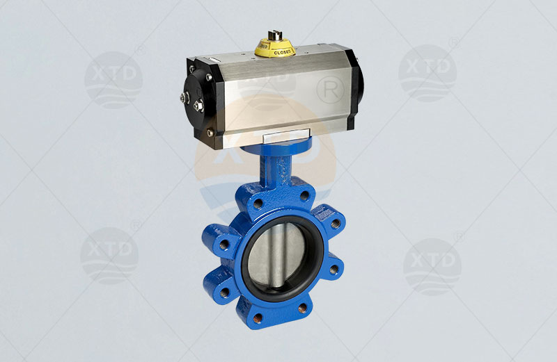 Pneumatic lug clamping butterfly valve
